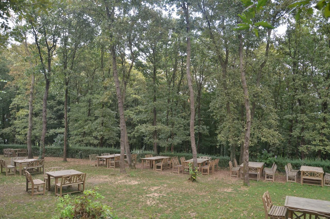 Green House Garden Park Hotel Cumhuriyet Екстериор снимка